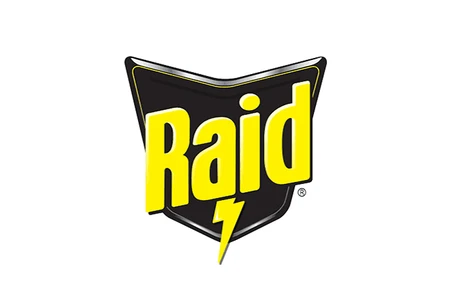 Raid