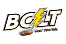 Bolt