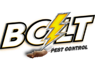 Bolt
