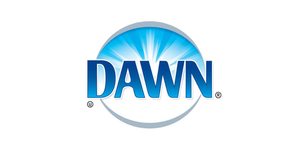 Dawn
