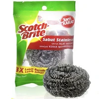 SB-4407, Scotch Brite Stainless Steel Scourer, 8992806163411