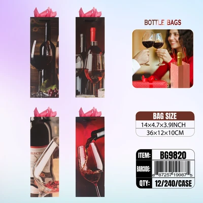 BG9820, Bottle Bags Ast.4-Style, 887257199875