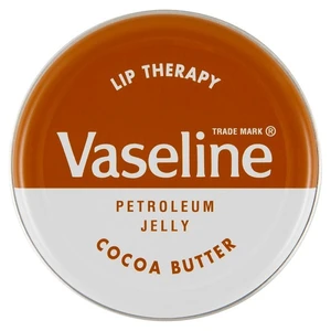 VPJ20CO, Vaseline Petroleum Jelly 20G Cocoa Butter, 8718114642888