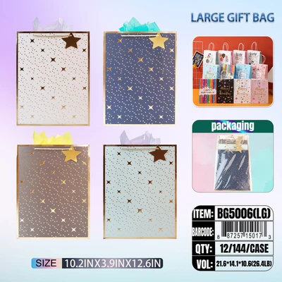 BG5006-LG, General Gift Bags LG.Assorted x4  10.2"x3.9"x12.6", 887257150173