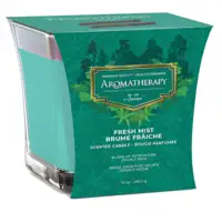 48263, Air Fusion Candle Fresh Mist 10oz, 191554482630