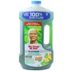 MC64GO, Mr. Clean Cleaner 64oz (1.89L) Gain Original  Fresh Platinum, 030772198759