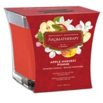 48261, Air Fusion Candle Apple Harvest 10oz, 191554482616