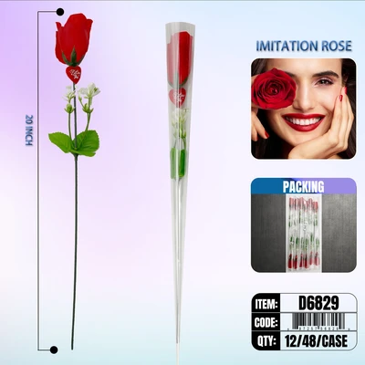 D6829, ROSE, 887257568299
