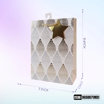 BG5007-MD, General Gift Bags MD.Assorted x4  7.1"x3.1"x9.4", 887257150210