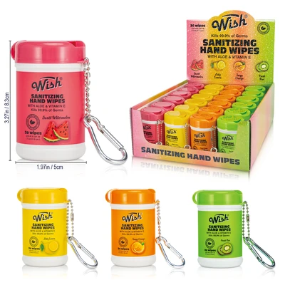 OL69300, Wish Sanitizing Hand Wipes 20CT Display, 191554693005