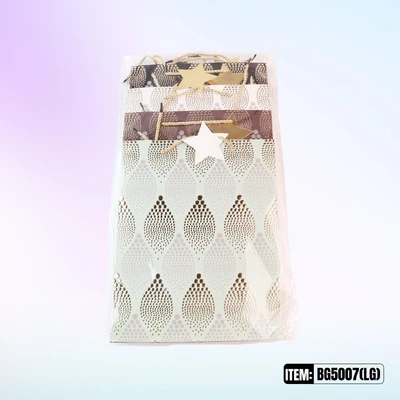 BG5007-LG, General Gift Bags LG.Assorted x4  10.2"x3.9"x12.6", 887257150203
