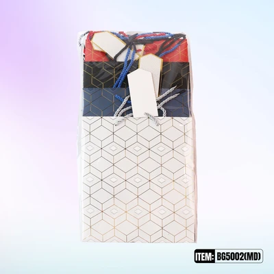 BG5002-MD, BG Gift Bags MD x4 Assted.  7.1"x3.9"x9", 887257150067
