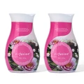 2 PACK