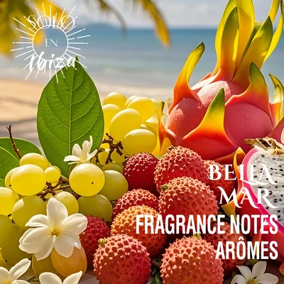 89519, Solo En Ibiza Bath & Body Travel Set 3PK – Marbella, 191554895195