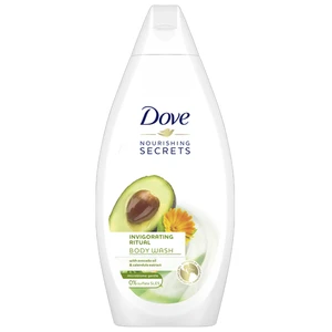 DBW169IR, Dove Body Wash 16.9oz Invigorating Ritual, 8720181151231