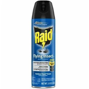 R15OF, Raid Flying Insect Spray 15oz Outdoor Fresh, 4650001660