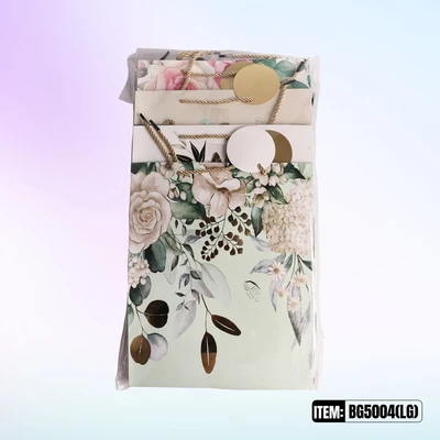 BG5004-LG, General Gift Bags  LG.Assorted x4  10.2"x3.9"x12.6", 887257150111