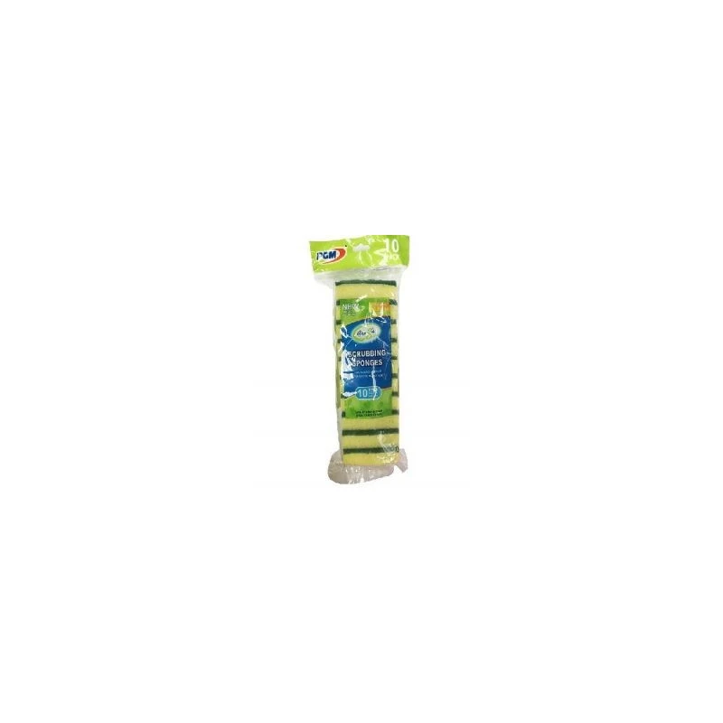 Fresh Start Sponge Scouring Pads 10PK
