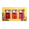 89344, SOLO EN IBIZA Women's 3*30mL/1.02fl.oz Mini Perfume MADRID MUSE/VALENCIA VIBES/MARBELLA, 191554893443