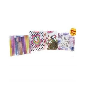 97010, Gift Bag Everyday 26*32*12cm #3 L, 191554970106
