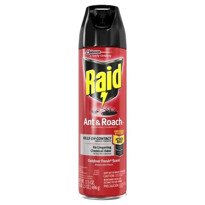 R17OF, Raid Ant & Roach Spray 17.5oz Outdoor Fresh, 046500216138