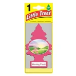 LT1-MF, Little Tree AF Morning Fresh, 076171102287