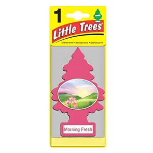 LT1-MF, Little Tree AF Morning Fresh, 076171102287