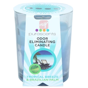 MC09743, Candle 5oz Tropical Breeze and Brazilian Palm, 665098659761