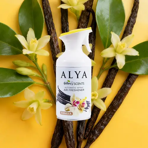 Vanilla Toilet Spray