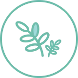 Made with Good for You Ingredients & Cold-Press Extracts