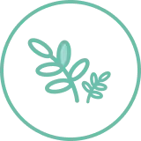 Made with Good for You Ingredients & Cold-Press Extracts