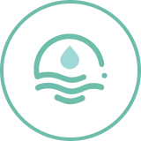 Free of Sulfates & Parabens