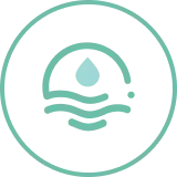 Free of Sulfates & Parabens